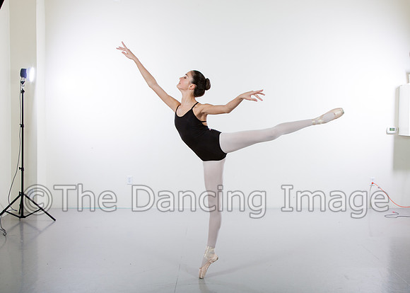 IMG_7528