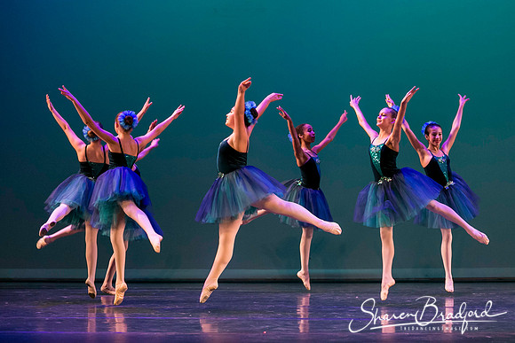 Khachaturian Waltz pc Sharen Bradford-3712