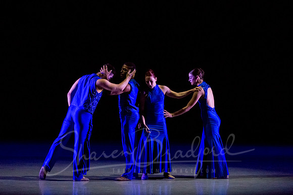 Following Echoes - pc Sharen Bradford-3341
