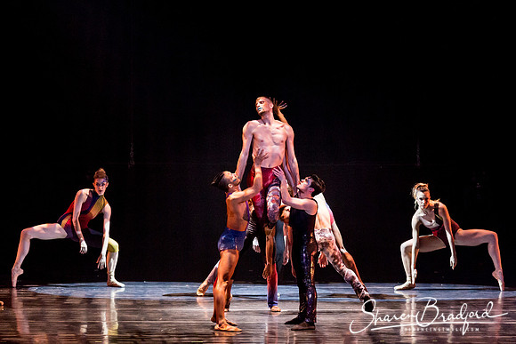 Stardust-pc Sharen Bradford-0803