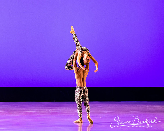 Ballet 37 pc Sharen Bradford-0447