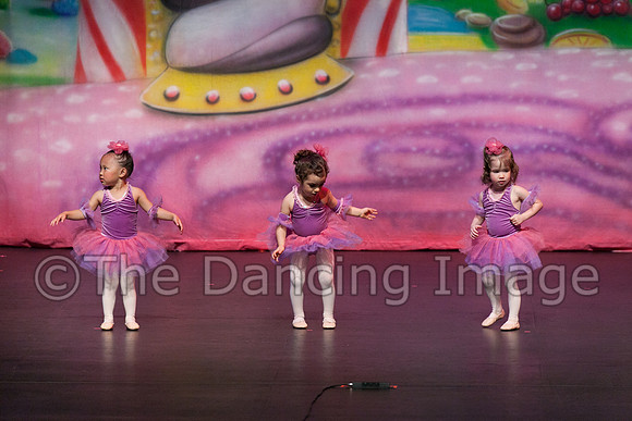 IMG_0386