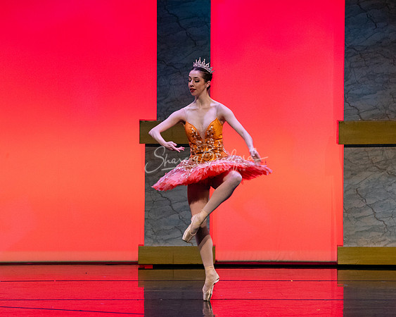 Ballet NTX Sleeping Beauty pc Sharen Bradford-0176