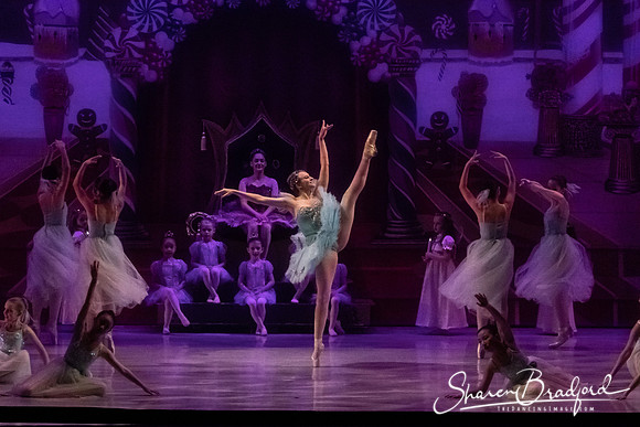 CCBT Nutcracker 19 pc Sharen Bradford-5255