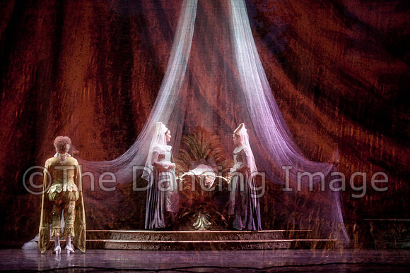 TB Sleeping Beauty Wed.-0001
