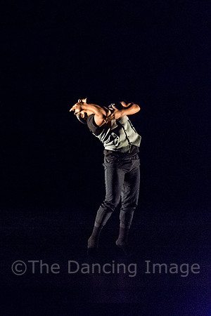 NobleMotion-2594