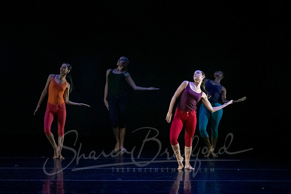 imPULSE dance project pc Sharen Bradford-4005