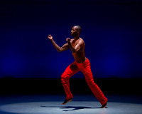 Alvin Ailey ADT-0014