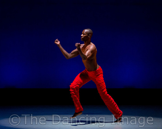 Alvin Ailey ADT-0014