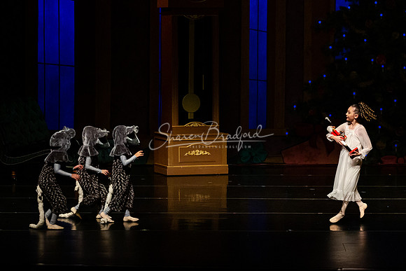 BNT Nutcracker Battle2 pc Sharen Bradford-2697