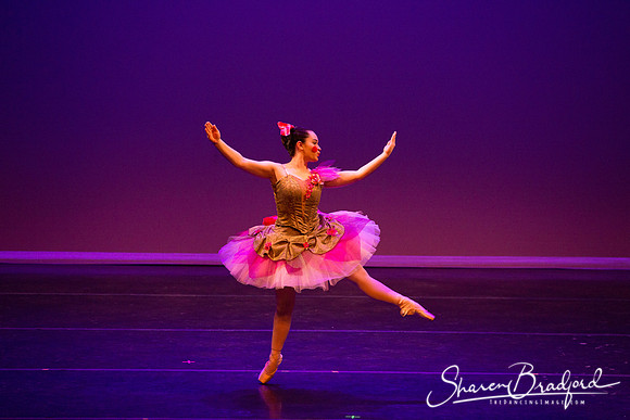 Clara's Dream 2019 pc Sharen Bradford-0053