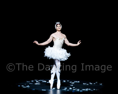 Dying Swan-0518