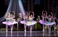 TB Sleeping Beauty Wed.-0080