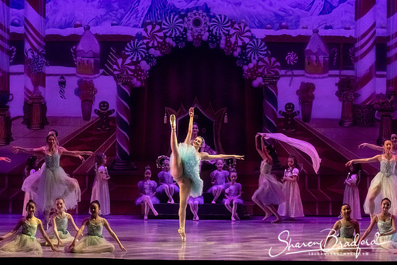 CCBT Nutcracker 19 pc Sharen Bradford-5256