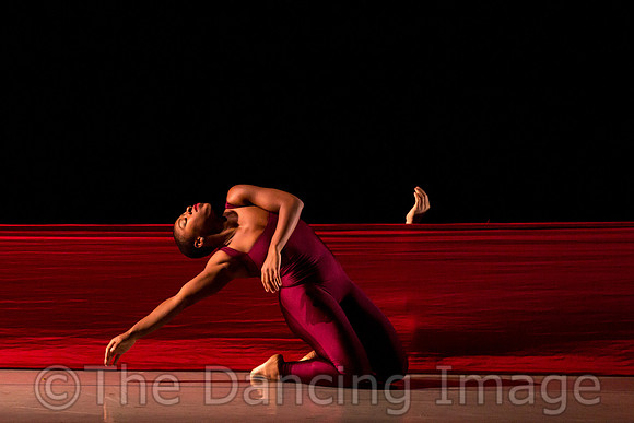 DBDT Encore-8666