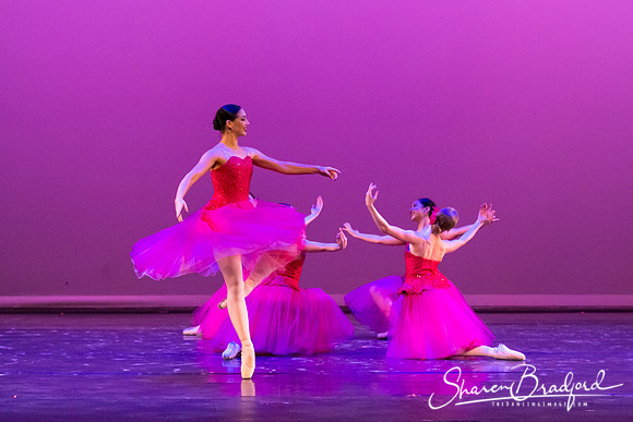 Waltz of the Flowers pc Sharen Bradford-2802
