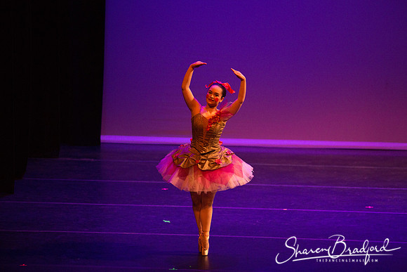 Clara's Dream 2019 pc Sharen Bradford-0064