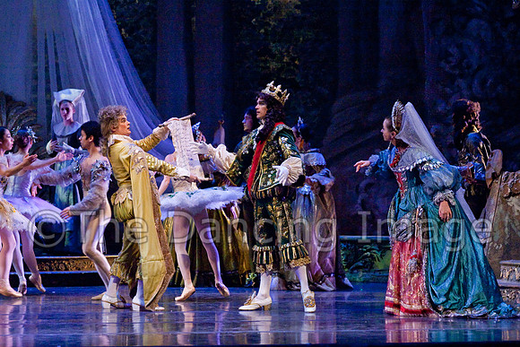 TB Sleeping Beauty Wed.-0131