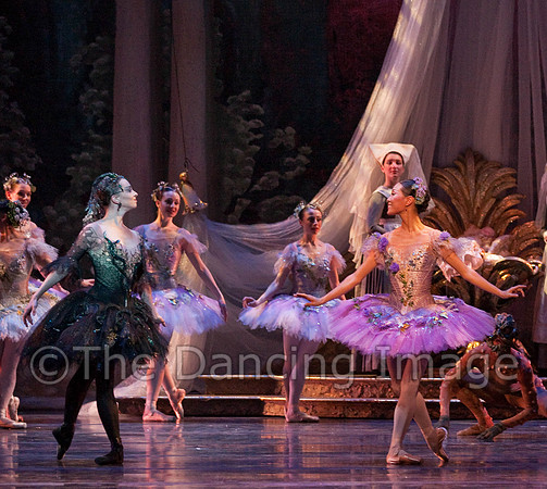 TB Sleeping Beauty Wed.-0515
