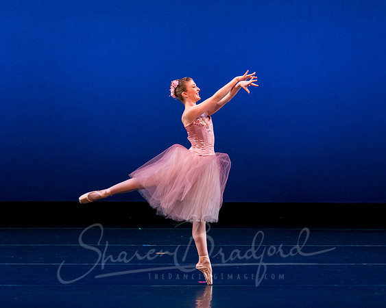 Valse Fantaisie pc Sharen Bradford-1126