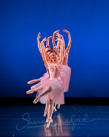 Valse Fantaisie pc Sharen Bradford-1170