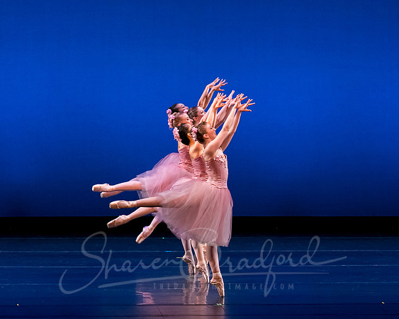 Valse Fantaisie pc Sharen Bradford-1174
