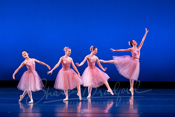 Valse Fantaisie pc Sharen Bradford-1179