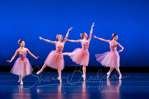 Valse Fantaisie pc Sharen Bradford-1180