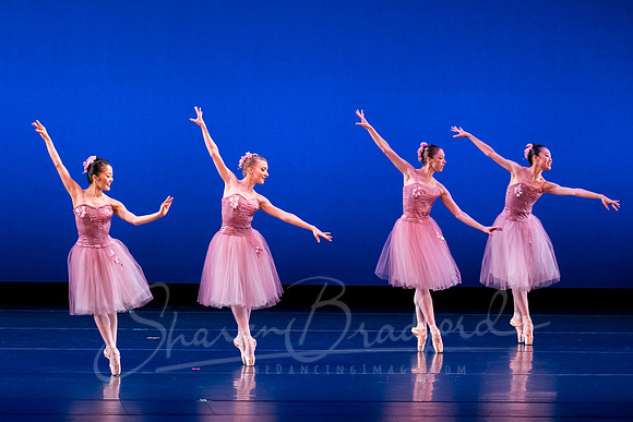 Valse Fantaisie pc Sharen Bradford-1182