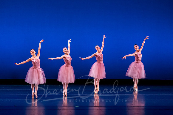 Valse Fantaisie pc Sharen Bradford-1184
