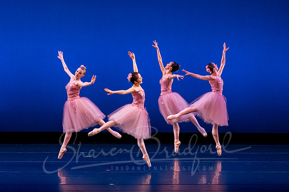 Valse Fantaisie pc Sharen Bradford-1189