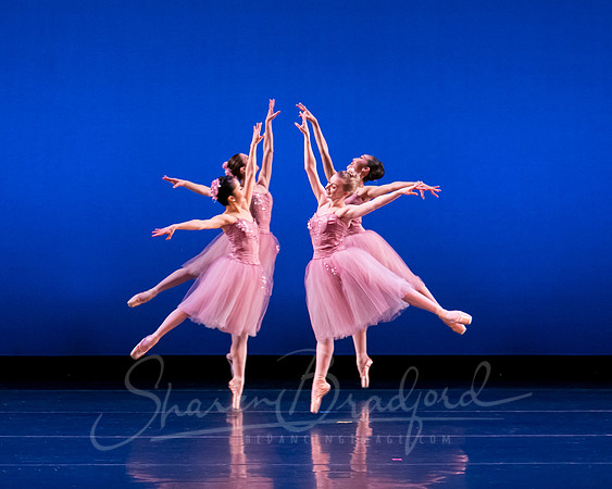 Valse Fantaisie pc Sharen Bradford-1194