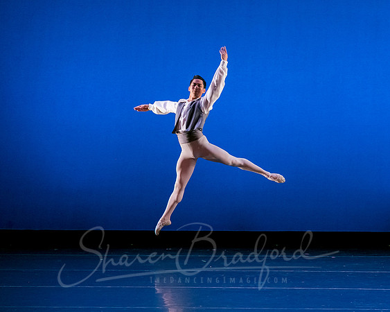 Valse Fantaisie pc Sharen Bradford-1199