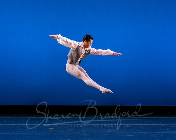Valse Fantaisie pc Sharen Bradford-1202