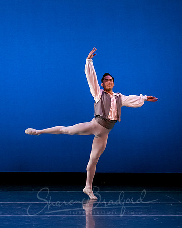 Valse Fantaisie pc Sharen Bradford-1204