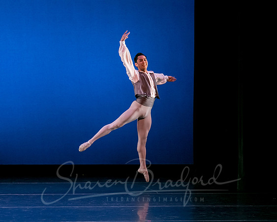 Valse Fantaisie pc Sharen Bradford-1205