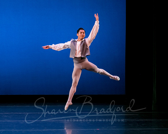 Valse Fantaisie pc Sharen Bradford-1206