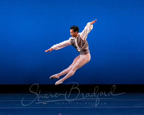 Valse Fantaisie pc Sharen Bradford-1207