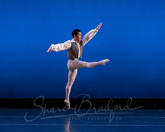 Valse Fantaisie pc Sharen Bradford-1211