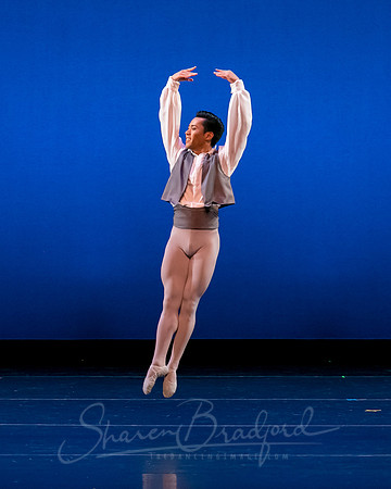 Valse Fantaisie pc Sharen Bradford-1213