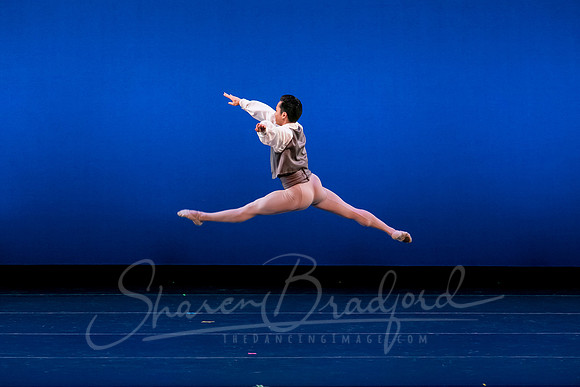 Valse Fantaisie pc Sharen Bradford-1217