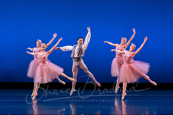 Valse Fantaisie pc Sharen Bradford-1229