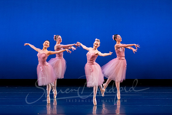 Valse Fantaisie pc Sharen Bradford-1236