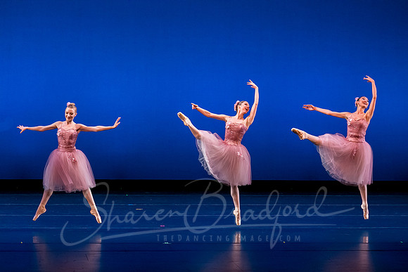 Valse Fantaisie pc Sharen Bradford-1239