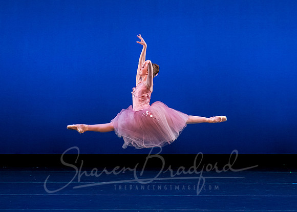 Valse Fantaisie pc Sharen Bradford-1267