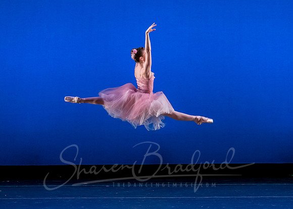 Valse Fantaisie pc Sharen Bradford-1270