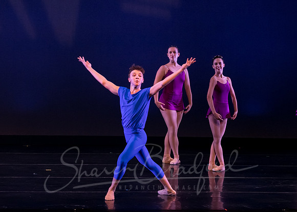 Dallas Ballet Company pc Sharen Bradford-4682
