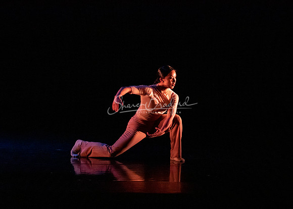RECURRENCE pc Sharen Bradford-0864