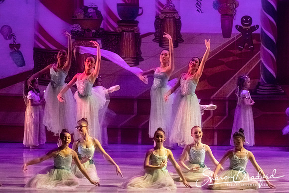 CCBT Nutcracker 19 pc Sharen Bradford-5257