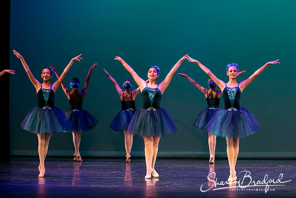 Khachaturian Waltz pc Sharen Bradford-3690